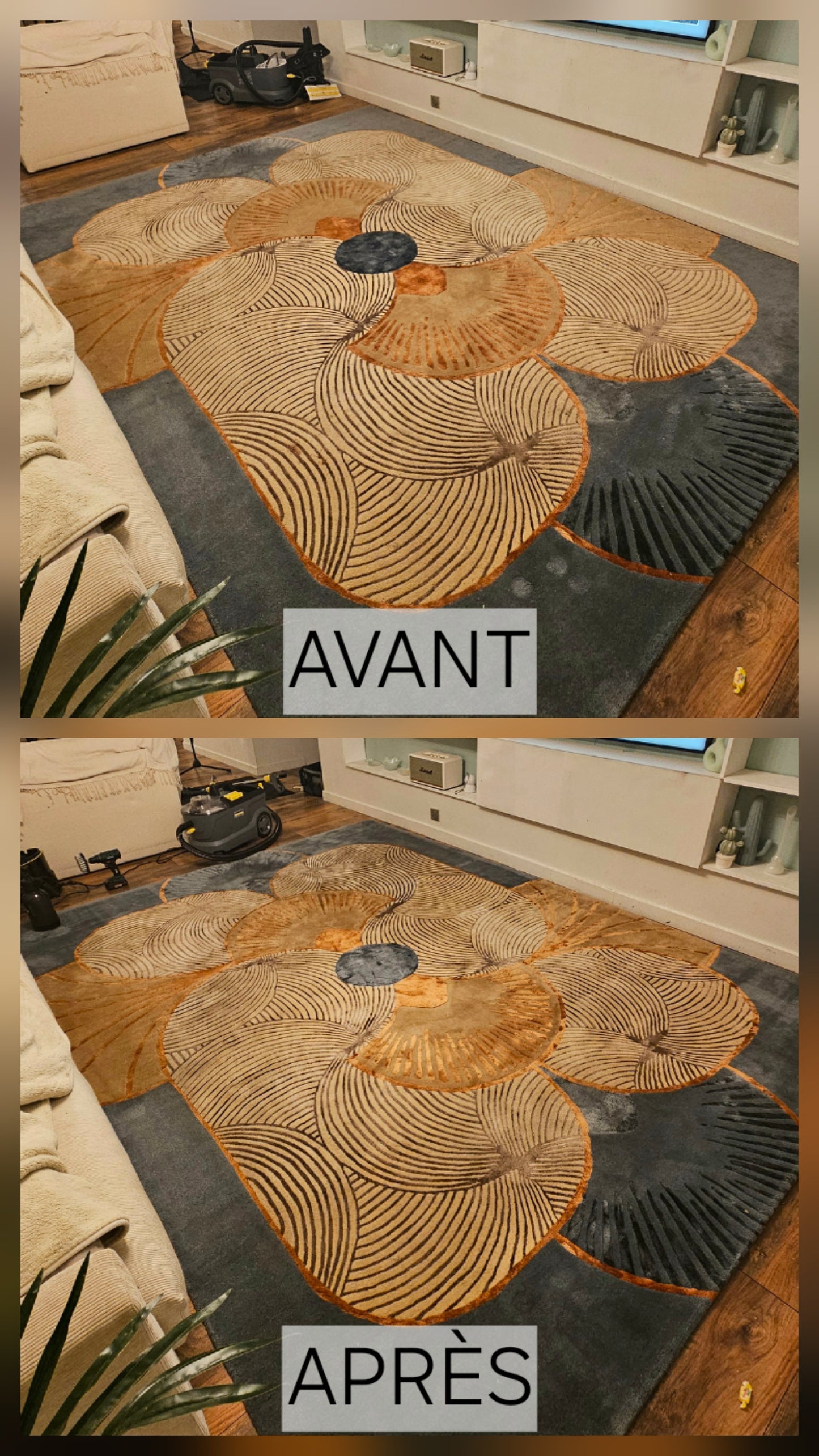 Nettoyage tapis & moquettes